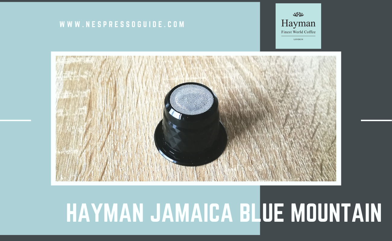 Hayman Jamaica Blue Mountain review